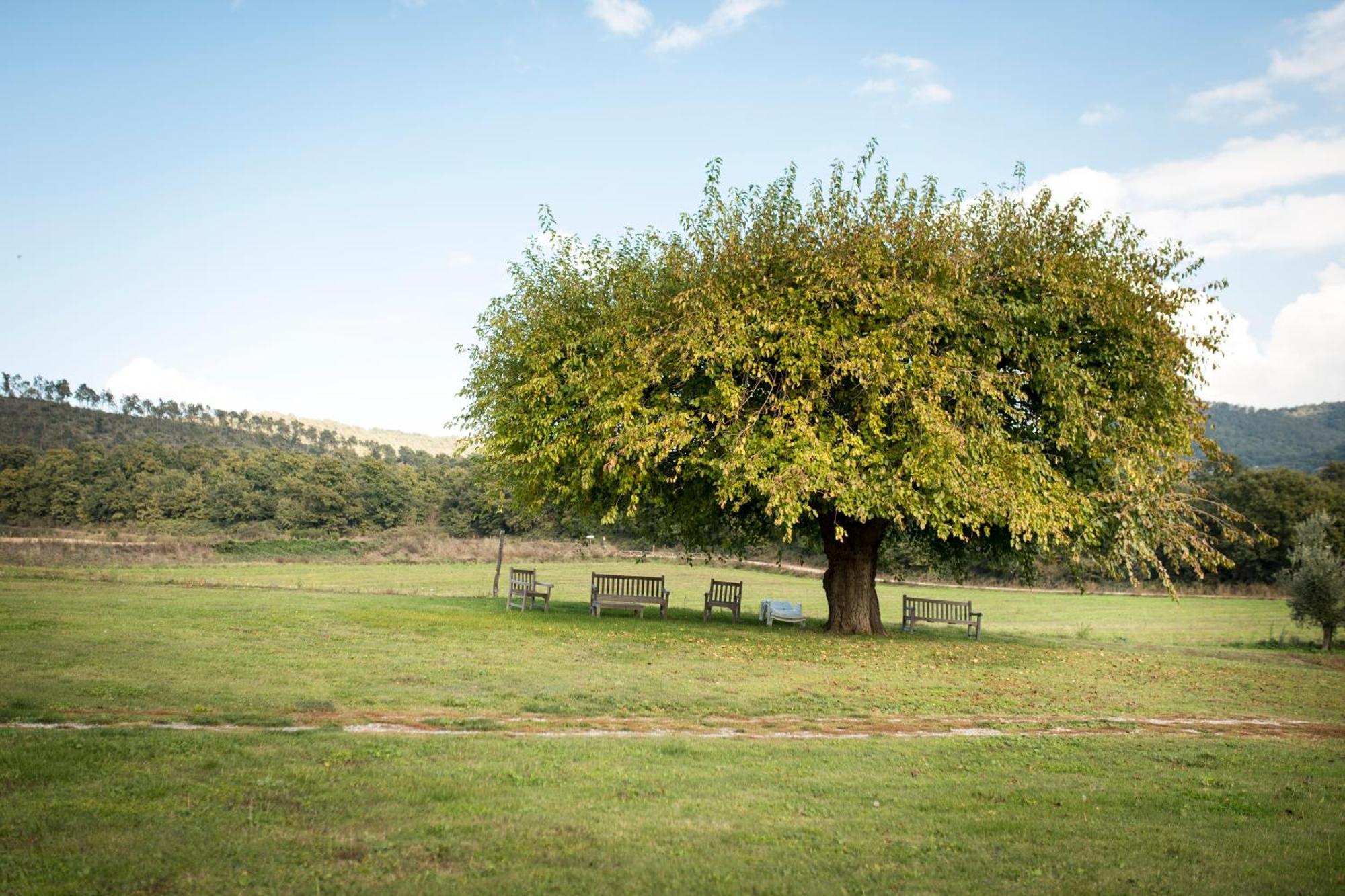 Agri Relais Il Poderaccio Di Bolsena Exteriér fotografie