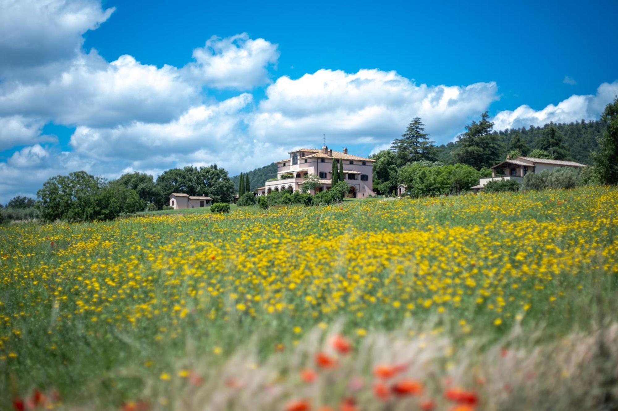 Agri Relais Il Poderaccio Di Bolsena Exteriér fotografie