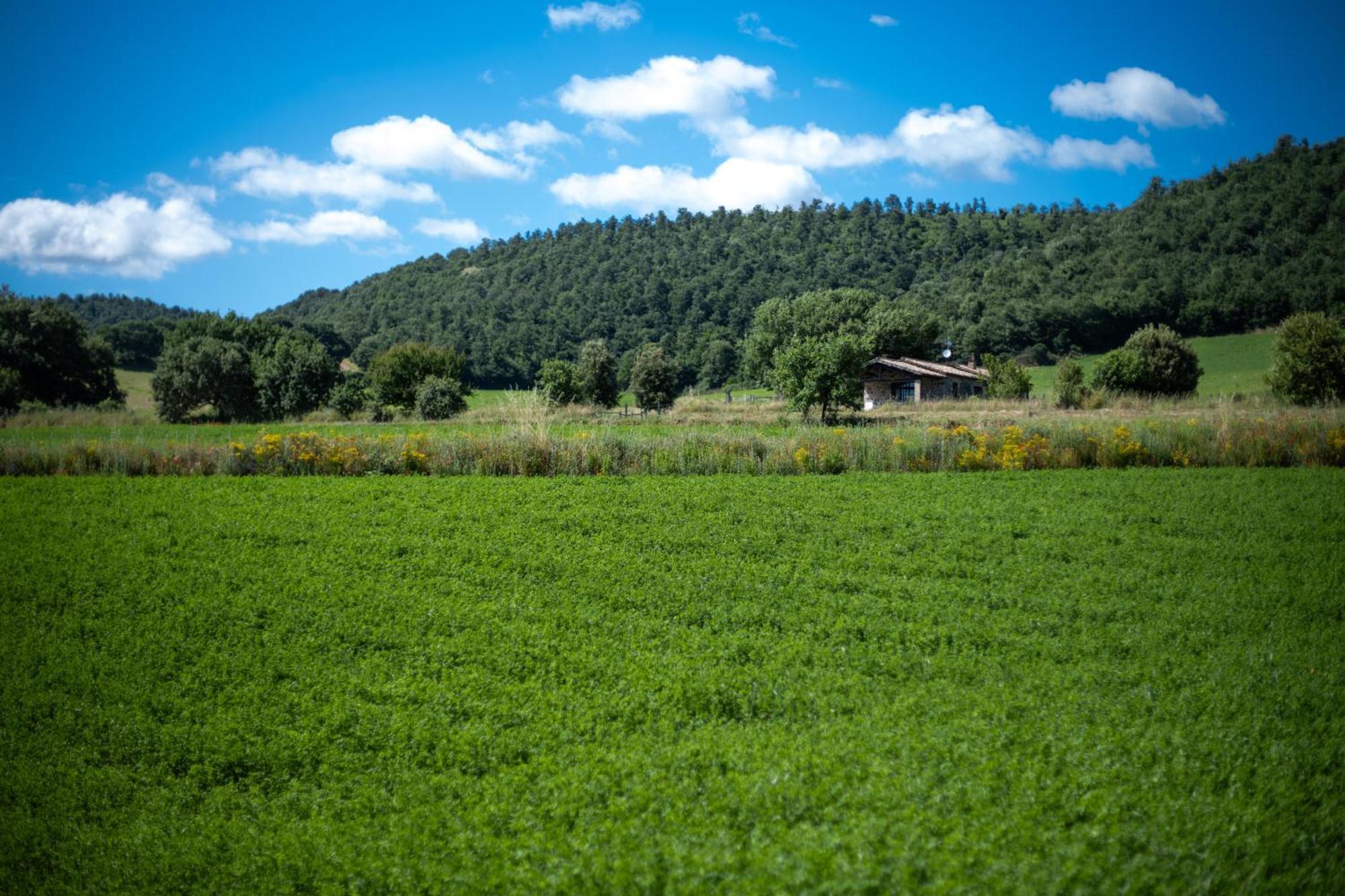 Agri Relais Il Poderaccio Di Bolsena Exteriér fotografie