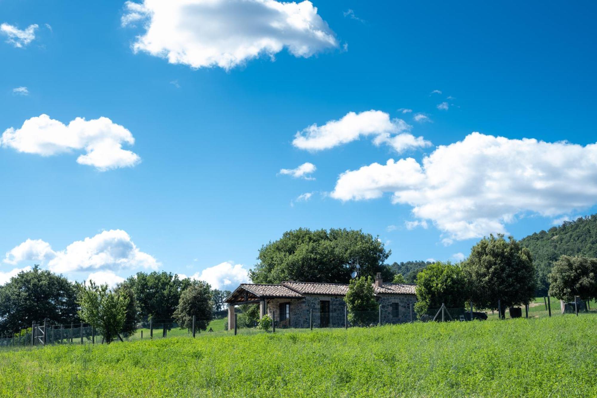 Agri Relais Il Poderaccio Di Bolsena Exteriér fotografie