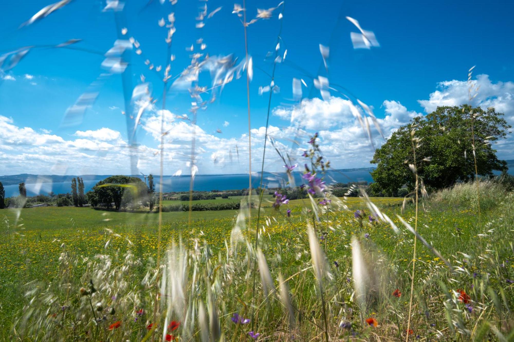 Agri Relais Il Poderaccio Di Bolsena Exteriér fotografie
