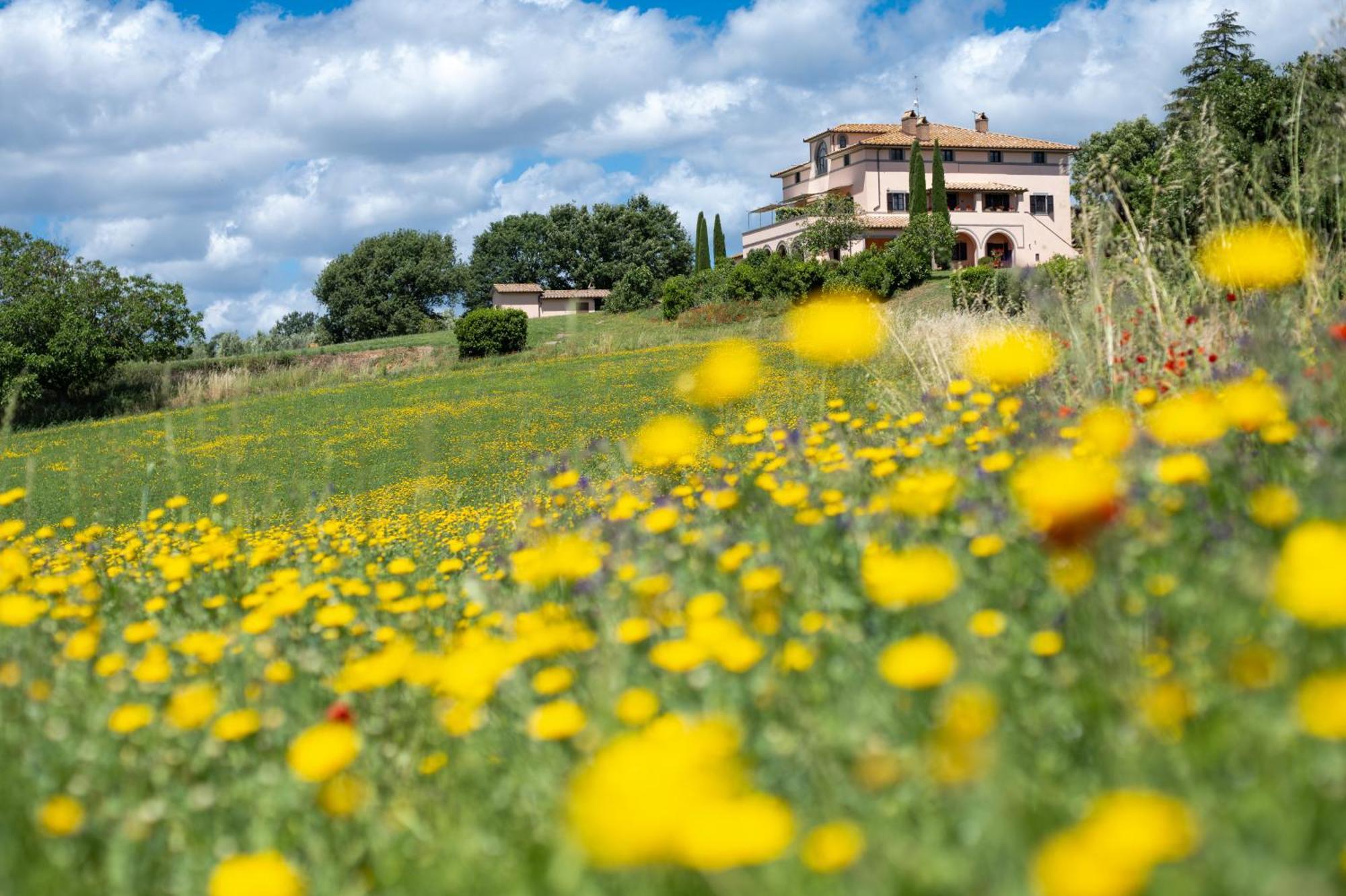 Agri Relais Il Poderaccio Di Bolsena Exteriér fotografie
