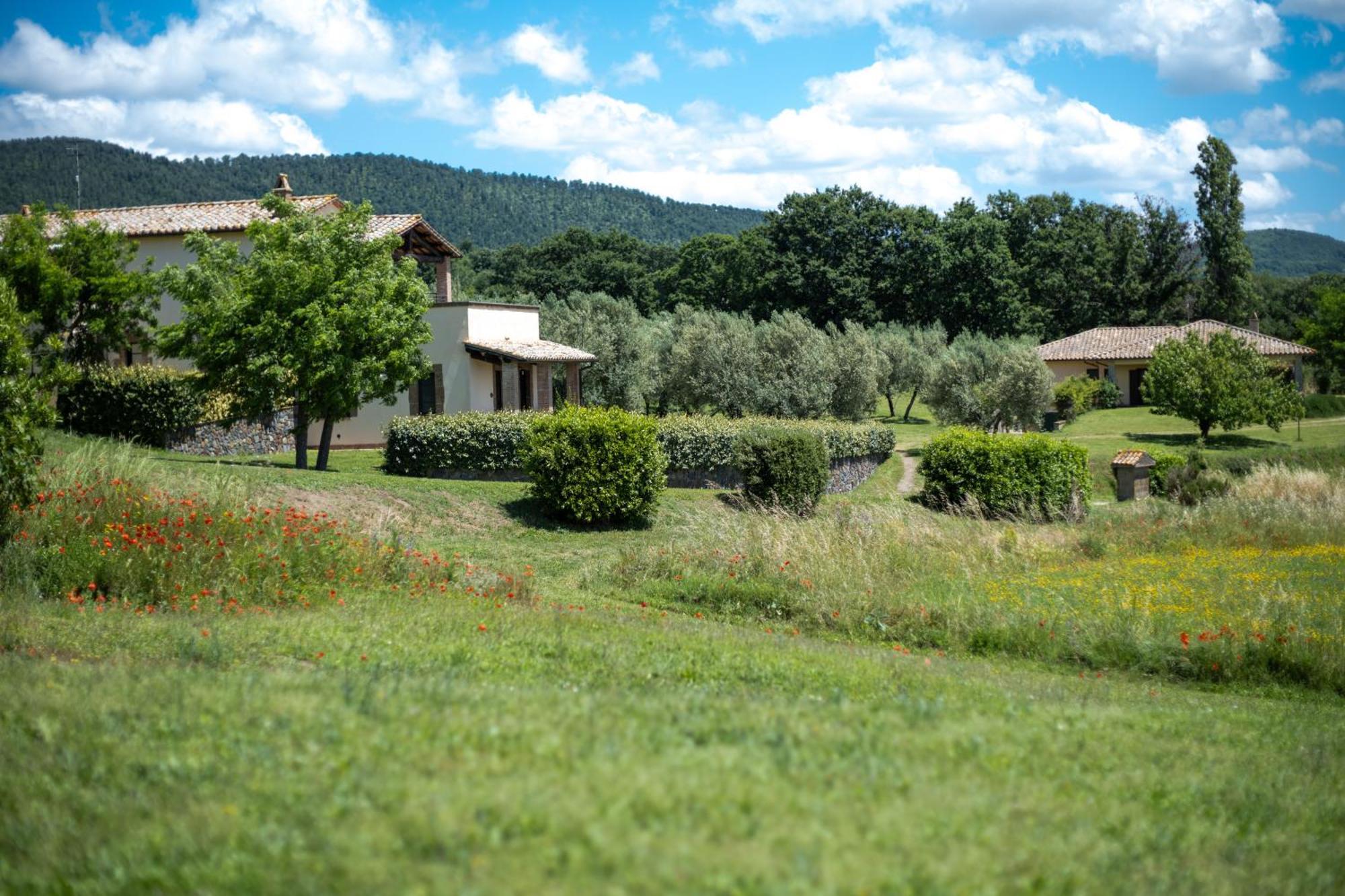 Agri Relais Il Poderaccio Di Bolsena Exteriér fotografie